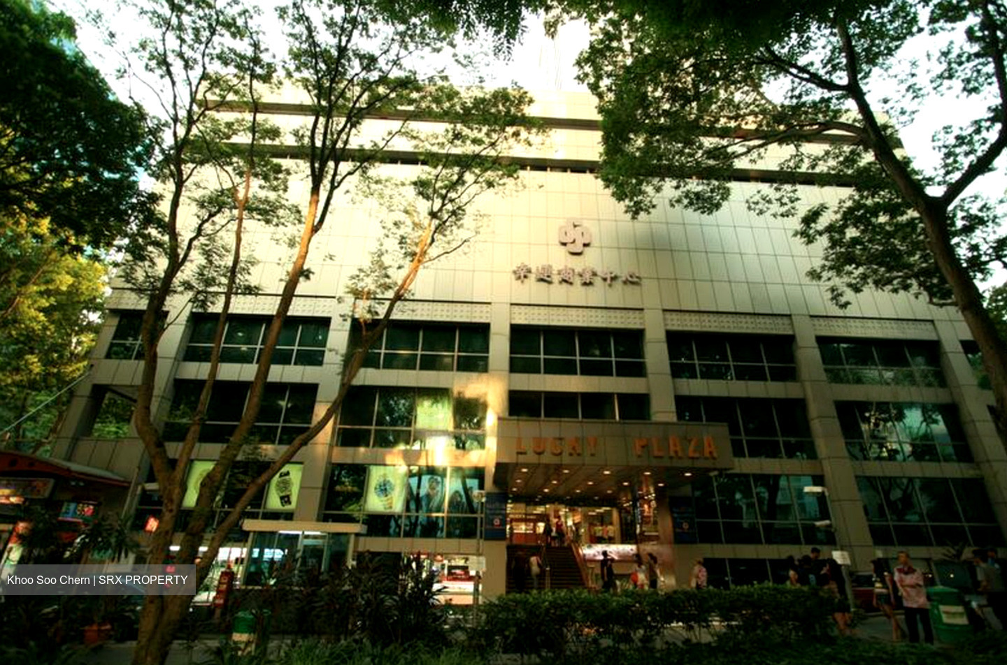 Lucky Plaza (D9), Shop House #452992341
